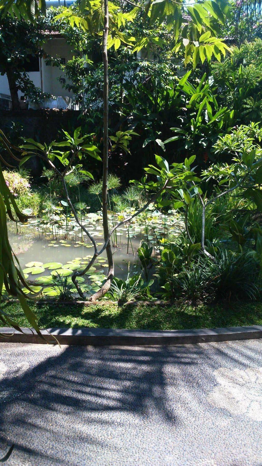 אובוד Puri Dalem Cottages מראה חיצוני תמונה
